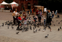 Europa-Polska-Toruń-2013