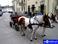 Europa-Polska-Kazimierz Dolny-2005 (2)