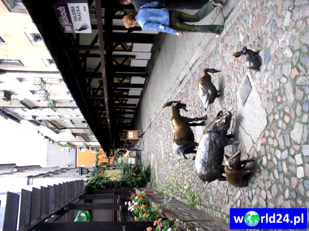 Europa-Polska-Wrocław-2005