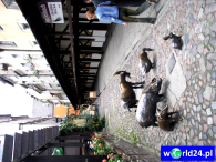 Europa-Polska-Wrocław-2005