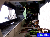 Europa-Polska-Kraków-2005