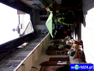 Europa-Polska-Kraków-2005