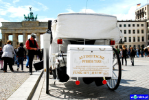 Europa-Niemcy-Berlin-Brama Brandenburska-2011