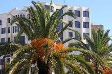 Afryka-Maroko-Casablanca-2014 W