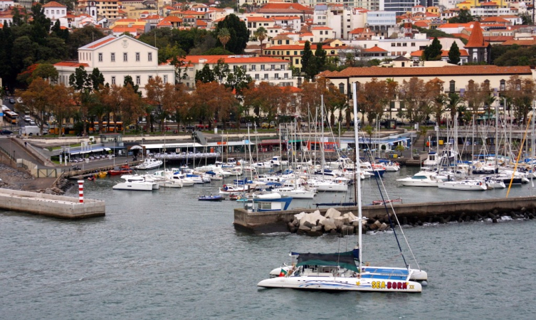 Ocean Atlantycki-Madera-Funchal-2015 W