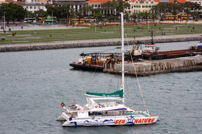 Ocean Atlantycki-Madera-Funchal-2015 W