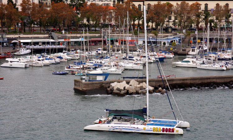 Ocean Atlantycki-Madera-Funchal-2015 W