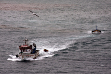 Ocean Atlantycki-Madera-Funchal-2015 W