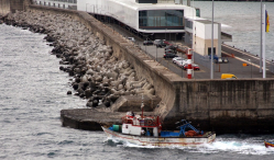 Ocean Atlantycki-Madera-Funchal-2015 W