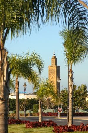 Afryka-Maroko-Rabat-2014 W