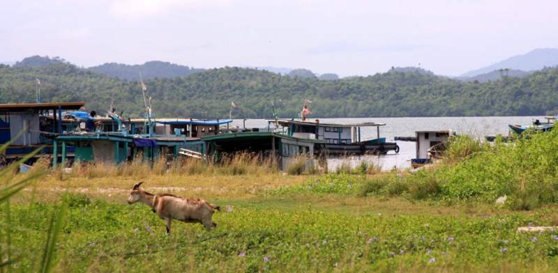Azja-Filipiny-Borneo-Singapur-2011 (2) W