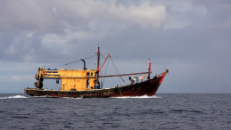 Azja-Filipiny-Borneo-Singapur-2011 (2) W