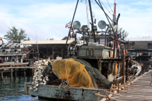 Azja-Filipiny-Borneo-Singapur-2011 (2) W