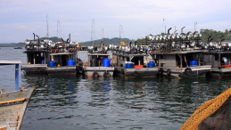 Azja-Filipiny-Borneo-Singapur-2011 (2) W