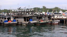 Azja-Filipiny-Borneo-Singapur-2011 (2) W