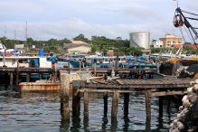 Azja-Filipiny-Borneo-Singapur-2011 (2) W