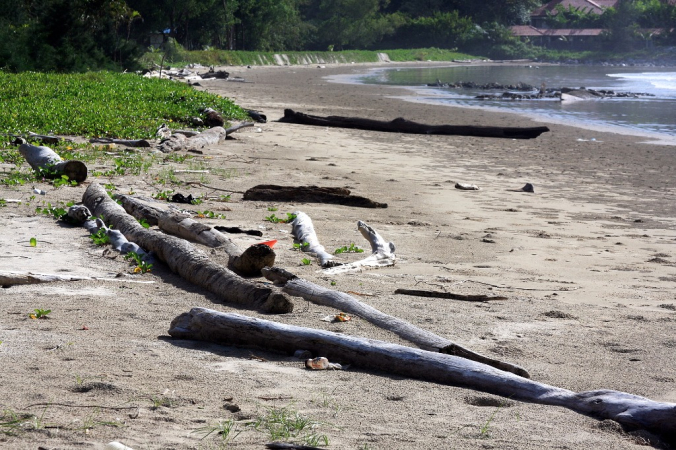 Azja-Filipiny-Borneo-Singapur-2011 (2) W