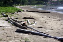 Azja-Filipiny-Borneo-Singapur-2011 (2) W