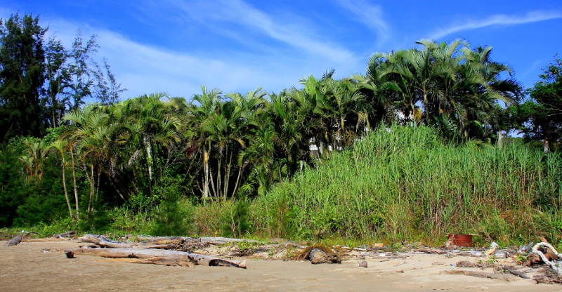Azja-Filipiny-Borneo-Singapur-2011 (2) W