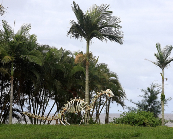 Azja-Filipiny-Borneo-Singapur-2011 (2) W