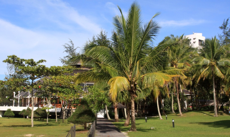 Azja-Filipiny-Borneo-Singapur-2011 (2) W