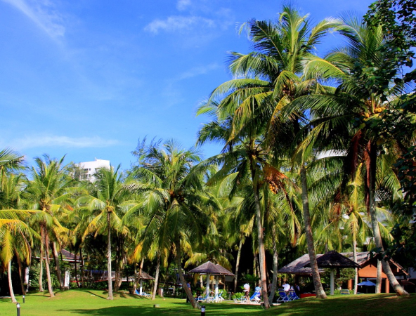 Azja-Filipiny-Borneo-Singapur-2011 (2) W