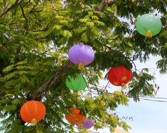 Azja-Filipiny-Borneo-Singapur-2011 (3) W