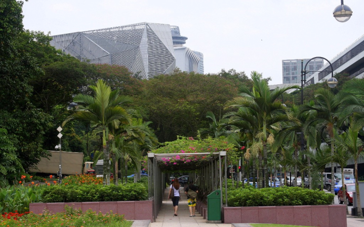 Azja-Filipiny-Borneo-Singapur-2011 (4) W