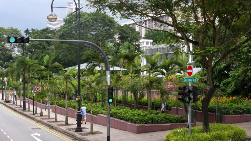 Azja-Filipiny-Borneo-Singapur-2011 (4) W