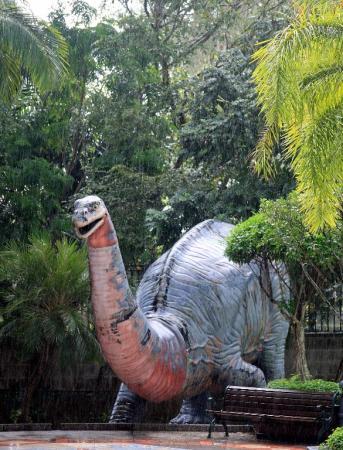 Azja-Filipiny-Borneo-Singapur-2011 (4) W