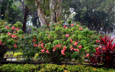 Azja-Filipiny-Borneo-Singapur-2011 (4) W