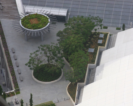 Azja-Filipiny-Borneo-Singapur-2011 (5) W