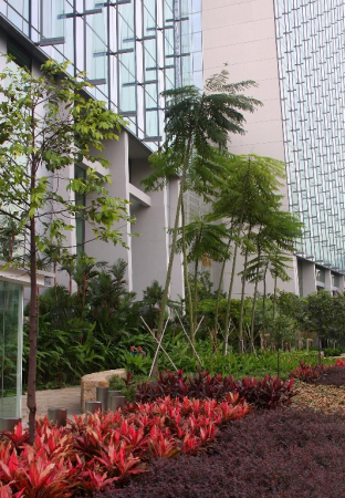 Azja-Filipiny-Borneo-Singapur-2011 (6) W