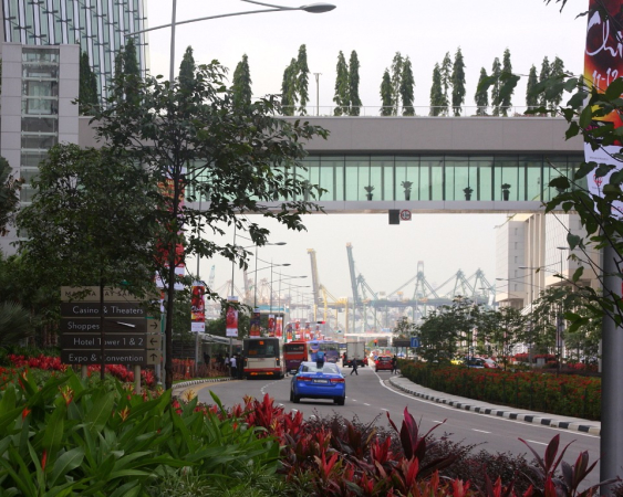 Azja-Filipiny-Borneo-Singapur-2011 (6) W