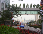 Azja-Filipiny-Borneo-Singapur-2011 (6) W