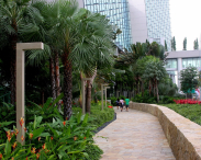 Azja-Filipiny-Borneo-Singapur-2011 (6) W