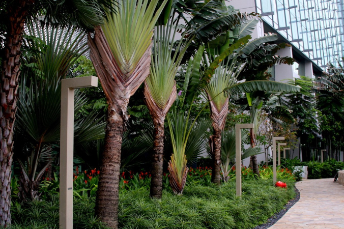 Azja-Filipiny-Borneo-Singapur-2011 (6) W