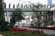 Azja-Filipiny-Borneo-Singapur-2011 (6) W