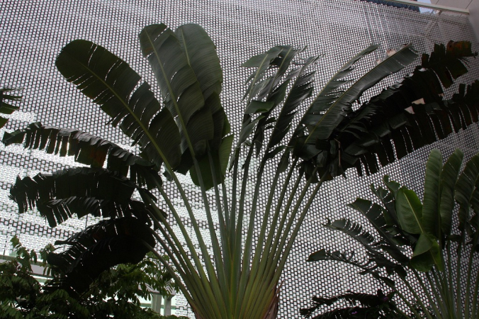 Azja-Filipiny-Borneo-Singapur-2011 (6) W