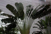 Azja-Filipiny-Borneo-Singapur-2011 (6) W