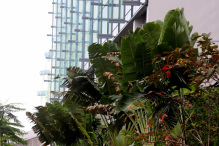 Azja-Filipiny-Borneo-Singapur-2011 (6) W