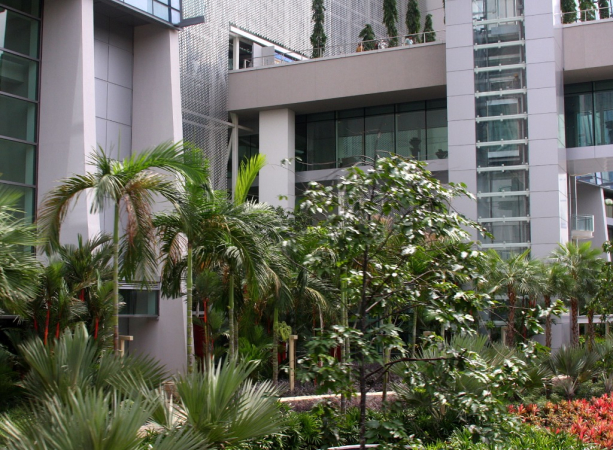 Azja-Filipiny-Borneo-Singapur-2011 (6) W