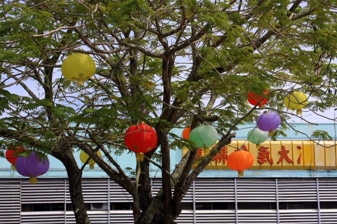 Azja-Filipiny-Borneo-Singapur-2011 (7) W