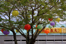 Azja-Filipiny-Borneo-Singapur-2011 (7) W