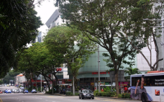 Azja-Filipiny-Borneo-Singapur-2011 (7) W