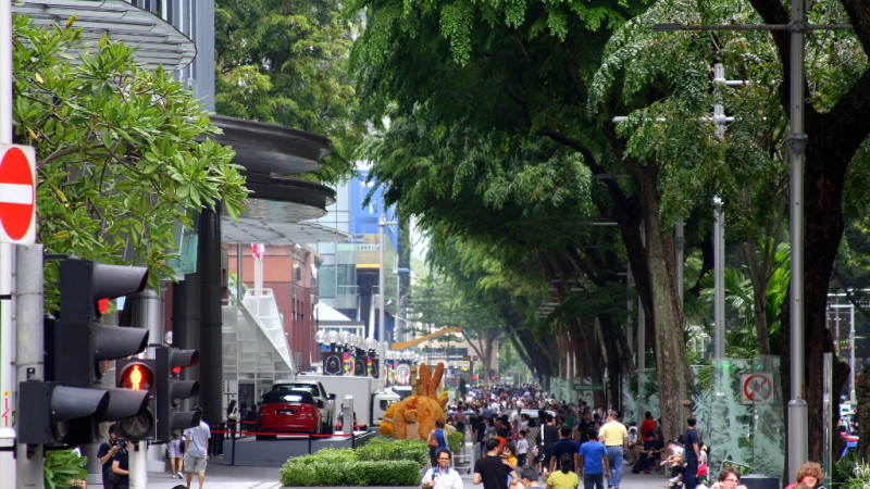 Azja-Filipiny-Borneo-Singapur-2011 (7) W