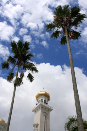 Azja-Filipiny-Borneo-Singapur-2011 (8) W