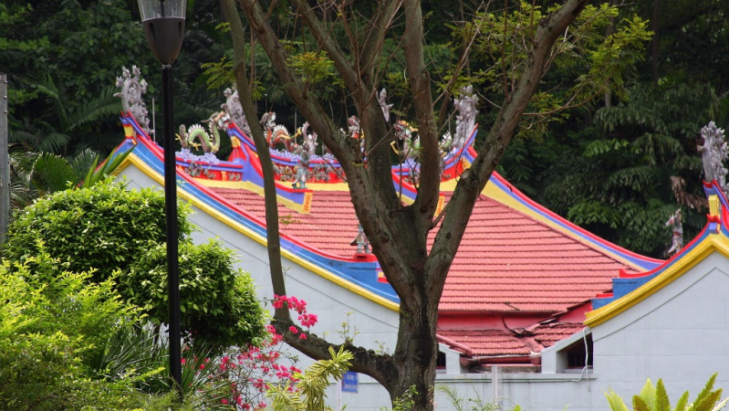 Azja-Filipiny-Borneo-Singapur-2011 (9) W