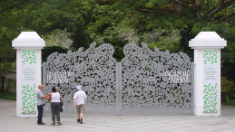 Azja-Filipiny-Borneo-Singapur-2011 (9) W