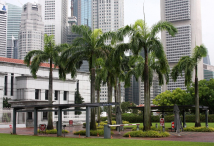 Azja-Filipiny-Borneo-Singapur-2011 (9) W